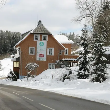 Haus Tanneck - Fewo 4 - Feldberg Im Schwarzwald - #a32910 Apartman Rotwasser